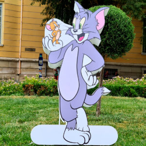 Figura 3D - TOM şi GERY
