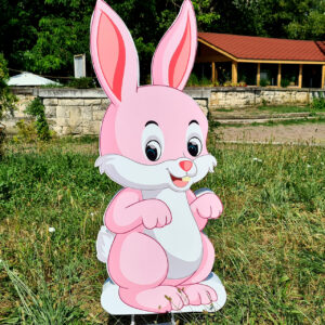 Figura 3D - IAPURAŞ ROZ