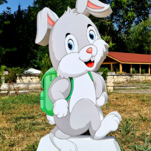 Figura 3D - IAPURAŞ cu rucsac