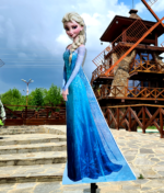 Figura 3D - ELSA